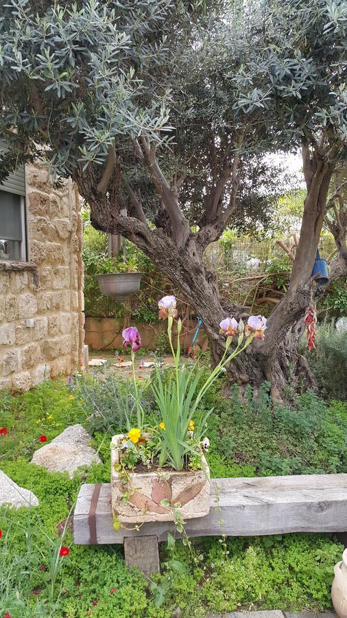 The House Of Taly & Erez Hotel Netaim ภายนอก รูปภาพ
