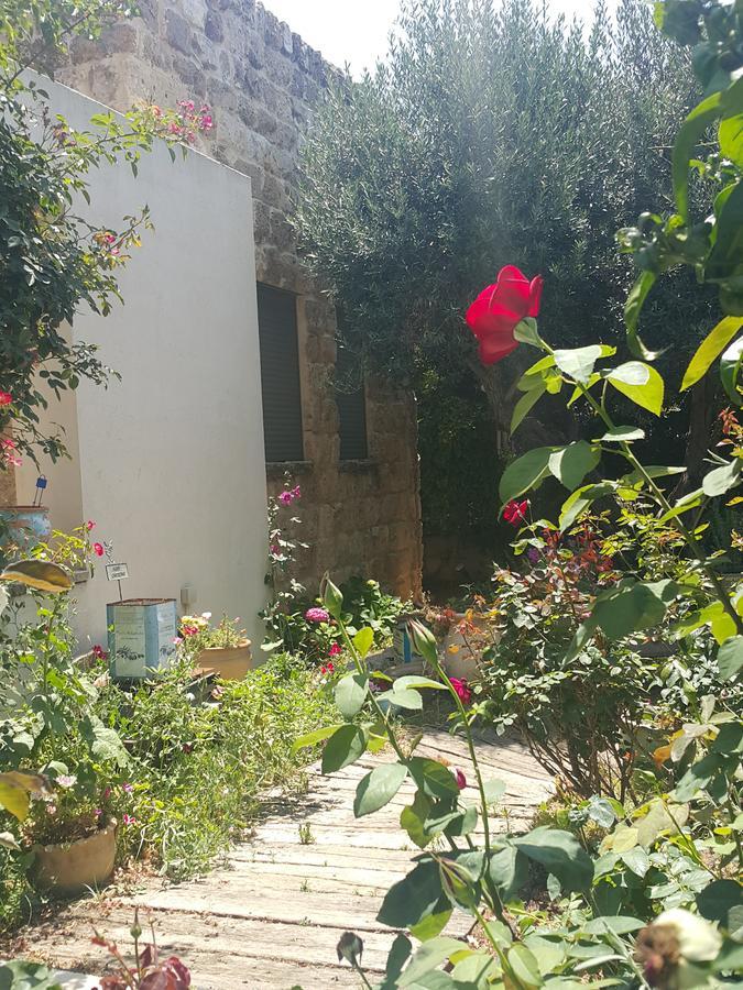 The House Of Taly & Erez Hotel Netaim ภายนอก รูปภาพ