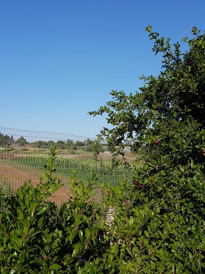 The House Of Taly & Erez Hotel Netaim ภายนอก รูปภาพ