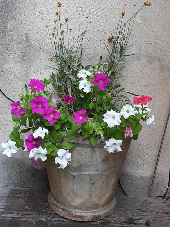 The House Of Taly & Erez Hotel Netaim ภายนอก รูปภาพ