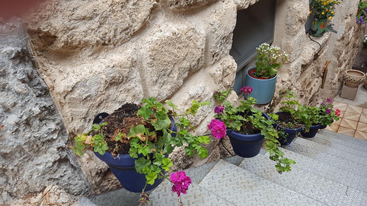 The House Of Taly & Erez Hotel Netaim ภายนอก รูปภาพ